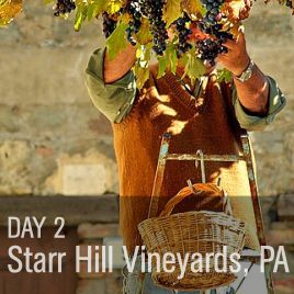 Starr Hill Vineyard & Winery, PA